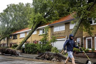 La tempête Poly a fait deux morts aux Pays-Bas et en Allemagne. Les victimes ont été écrasées par des arbres déracinés, comme ici à Haarlem.